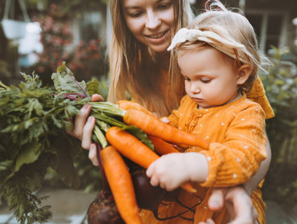 Food Nutrition